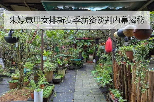 朱婷意甲女排新赛季薪资谈判内幕揭秘