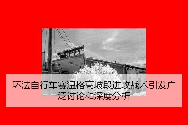 huan-fa-zi-xing-che-sai-wen-ge-gao-po-duan-jin-gong-zhan-shu-yin-fa-guang-fan-tao-lun-he-shen-du-fen-xi-2-881.jpg