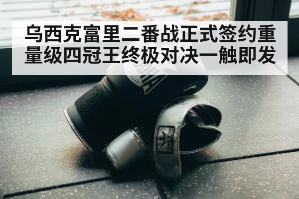 boxing training gloves